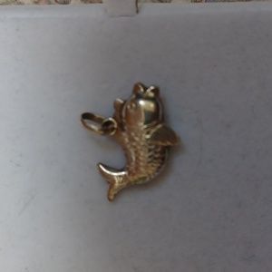 Koi fish 925 silver charm